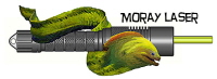 moray laser logo with name for web